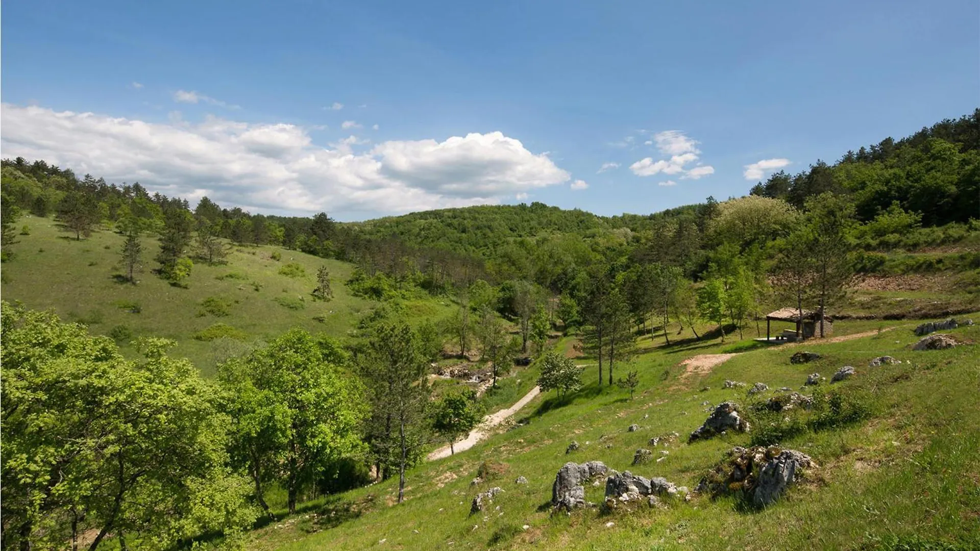 Holiday home Amazing Home In Trviz With House A Panoramic View Croatia